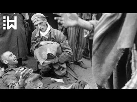 Brutal Torture Of Gay Men Under Nazi Regime Nazi Germany Scottie S Playtime