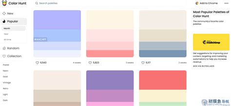 Color Hunt官网colorhunt色彩猎人在线设计配色卡网站工具颜色搭配 别摸鱼导航