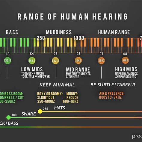 Heres How To Understand The Range Of Human Hearing Music Recording