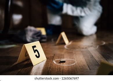 Forensic Investigator Collecting Crime Scene Evidence Stock Photo ...