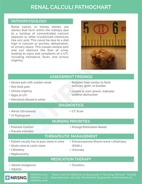 Renal calculi and signs/symptoms - NURN 234 - CCBC - Studocu