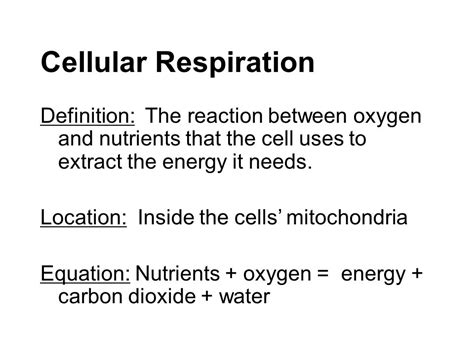 Cellular Respiration Definition Steps Importance Video 60 Off