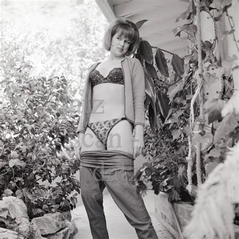 S Ron Vogel Negative Sexy Pinup Girl Frankie Jones In Lingerie
