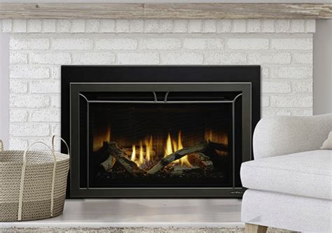 Heat Glo Cosmo Gas Insert Portland Fireplace Shop