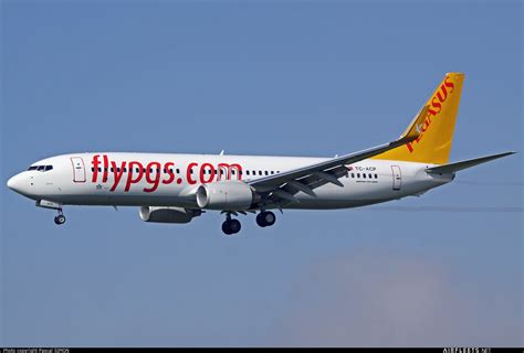 Pegasus Airlines Boeing Ng Max Tc Acp Photo Airfleets