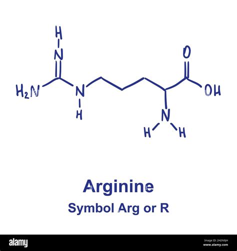 Estructura Qu Mica De La Arginina Ilustraci N Vectorial Dibujada A