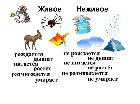 Живое - неживое - презентация онлайн