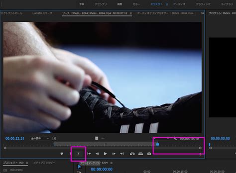 13 Premiere Pro 動画 カット