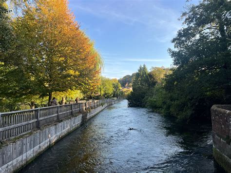 Bracknell News - Today's the day @rickygervais fans for #AfterLife2 🙌🙌🙌