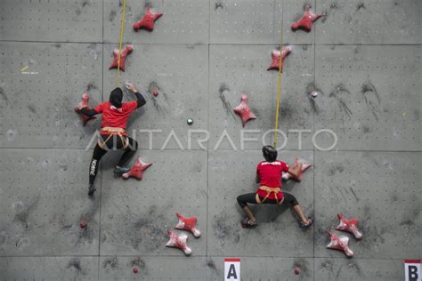 Latihan Tanding Panjat Tebing Pra Olimpiade Tokyo 2020 Antara Foto