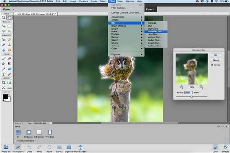 How To Blur Background In Photoshop Elements