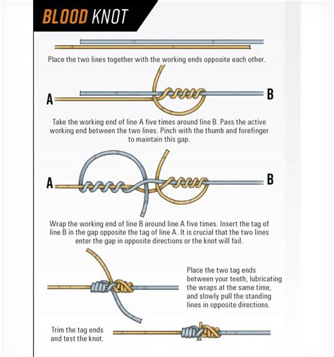 8 Best Fly Fishing Knots You Should Know How To Tie Fly Fisherman Fly