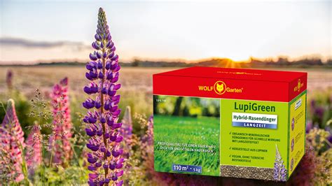 Gemeinsam Für Das Klima Wolf Garten Lupigreen® Hybrid Rasendünger Und