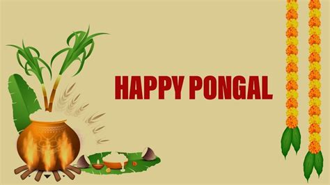 Happy Pongal Wishes Images Messages Sms Greetings Whatsapp