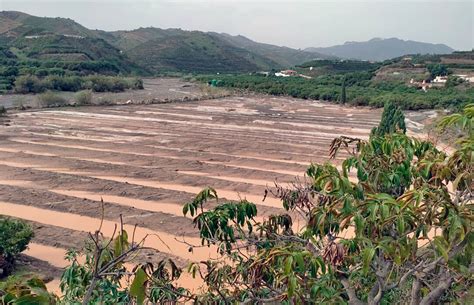 Los Olvidados De La Dana Más De 14 000 Hectáreas De Cultivos Habrían