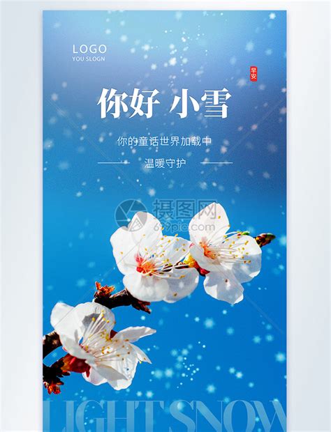 清新简约小雪节气摄影图海报模板素材 正版图片401875648 摄图网