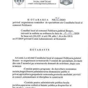 Hot R Rea Nr Privind Organizarea Consiliilor De Specialitate Ale Consiliului Local Al