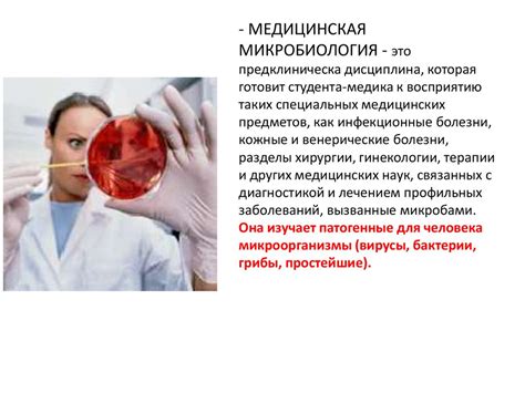 Введение в микробиологию - презентация онлайн