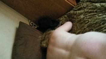 esposa obtiene el cinturón XVIDEOS