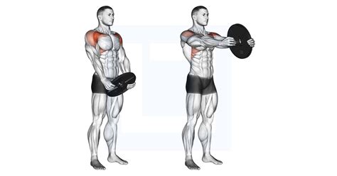 Dumbbell Seated Shoulder Press Guide Benefits And Form