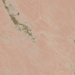 Dkw Woonvision Fotobehang Kek Gold Marble Nude