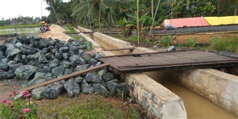 Kementan Bantu Petani Di Tanah Bumbu Hadapi Kekeringan Dengan Rjit