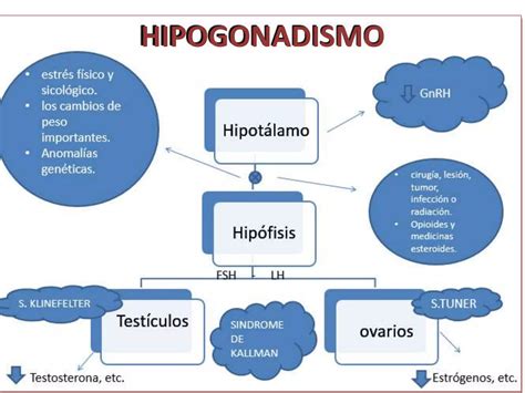 Eje hipotálamo hipofisario gonadal PPT