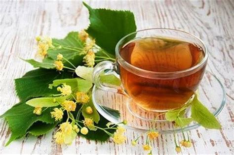 Липовый чай: полезные свойства и противопоказания