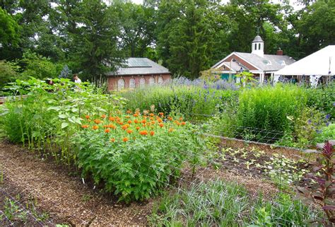 Bonney Lassie Hot And Wet During The Fling