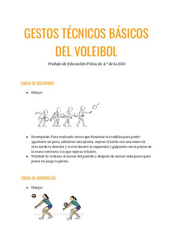 GESTOS TECNICOS BASICOS DEL VOLEIBOL Pdf