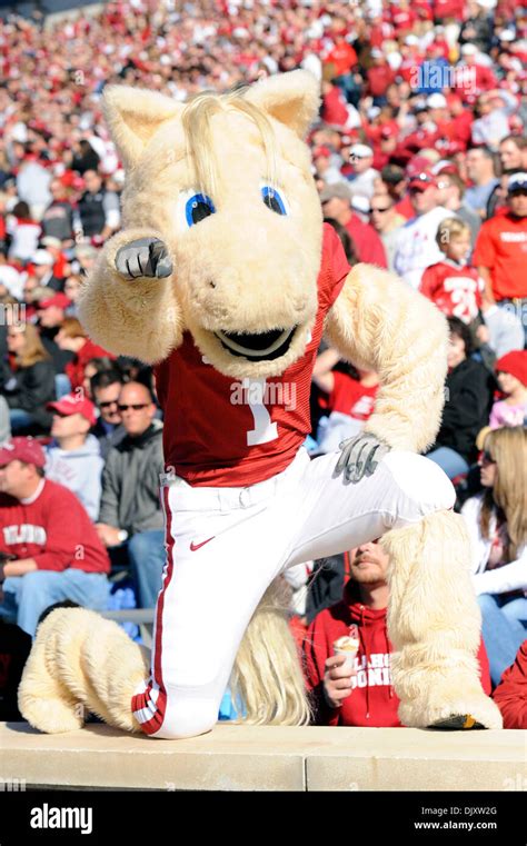 Oklahoma sooners mascot hi-res stock photography and images - Alamy
