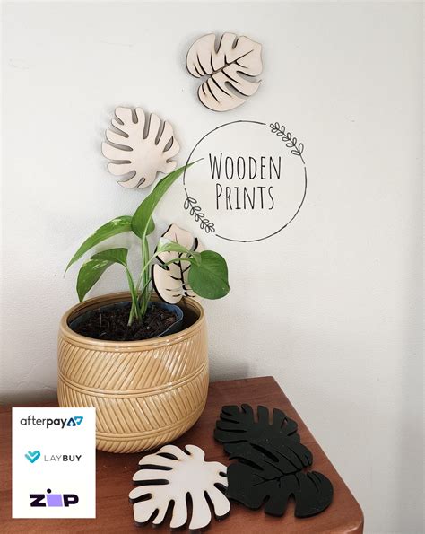 Indoor Plant Climbers (set of 5) – Wooden Prints