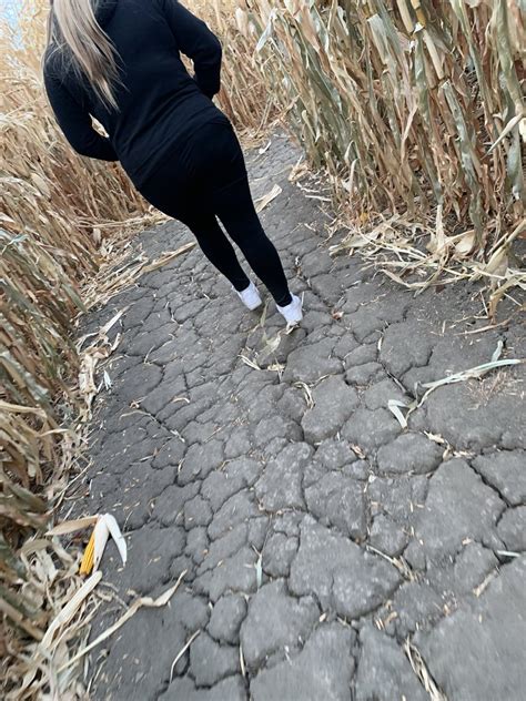 Bustyhousewifey On Twitter Got Naked In A Corn Maze Today Link In Comments If You Wanna See