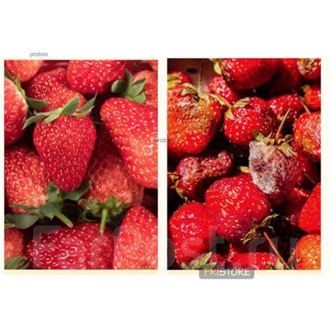 Многоразовый поглотитель запахов для холодильника Xiaomi Lofans B3 ...