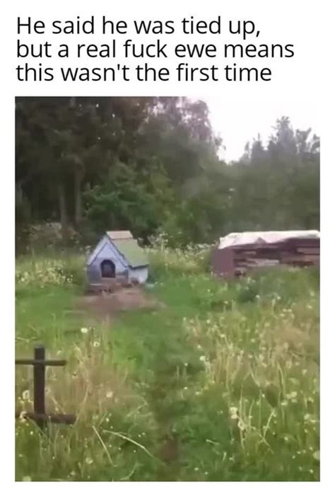 That Ain T His Bitch But Fuck Ewe Anyways Meme By Che D Lay Sir Memedroid