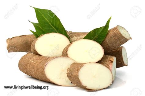 Health And Nutritional Benefits Of Cassava Living In Well Being