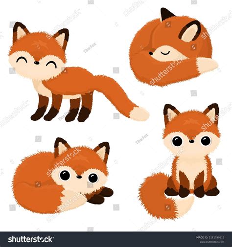 Baby Fox Vector Set Cartoon Vector Stock Vector (Royalty Free ...