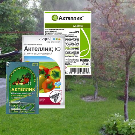 "Актеллик" - в чем секрет популярного инсектицида | ЗАЩИТА от ...