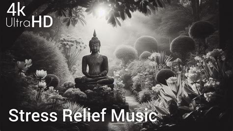 30 Minute Stress Relief Music Relieves Anxiety And Depression Heals