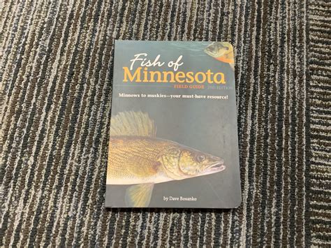 Fish Of Minnesota Field Guide The Fish Of 2