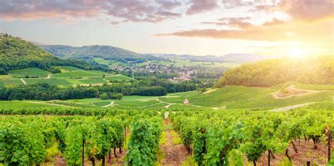 Tagesausflüge von Bourgogne-Franche-Comté | GetYourGuide