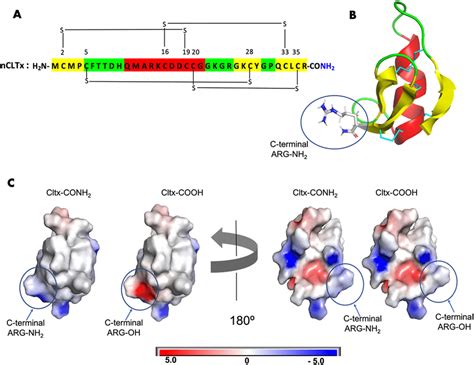 Structures Of C Terminal Amidated Cltx Native Tm And C Terminal