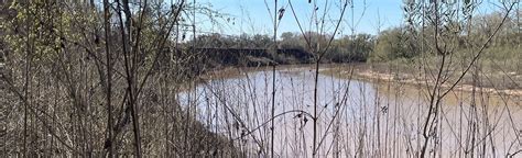 Brazos River Trail West: 43 Reviews, Map - Texas | AllTrails