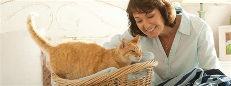 Основные этапы жизни кошки | Purina