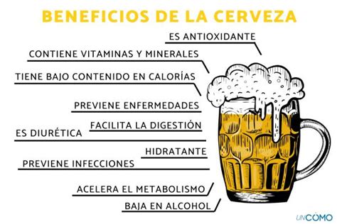 10 Beneficios De La Cerveza Descubre Las Razones Por Las Que Tomar