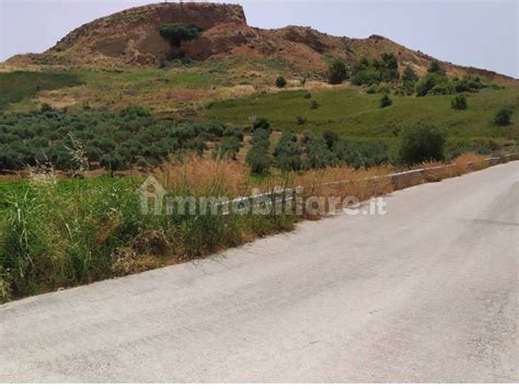 Terreno Agricolo Contrada Quarti Sciacca Rif Immobiliare It