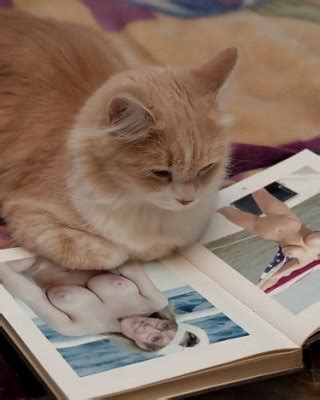 Sarah Palin Porn Pics Pictoa