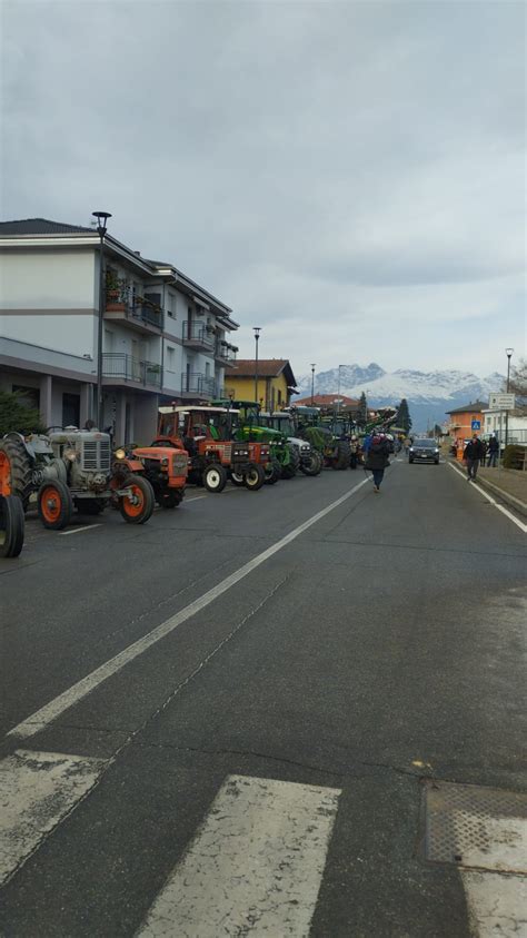 Festa Di Sant Antonio Abate A Verrone Le Immagini Prima Biella