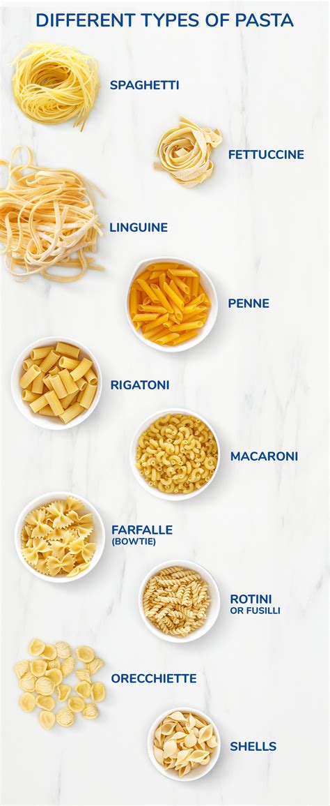 Kinds Of Pasta 1,081 Different Pasta Shapes Stock Vectors And Vector