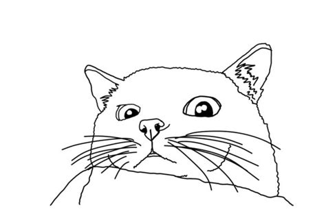 cat  art coloring animal  graphic  arsa adjie creative